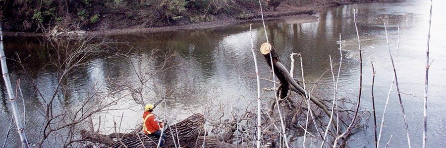 Arboriculture