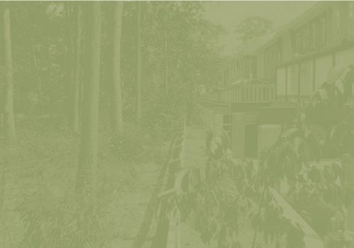 Environmental Impact Assessment