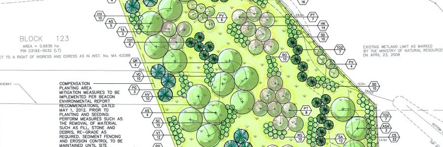Beacon Environmental Services - Landscape Architecture - Plan