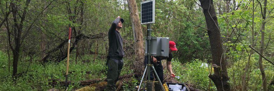 Environmental Monitoring And Site Supervision