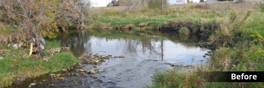 Geomorphic Assessments And Sediment Transport Modelling — BEFORE