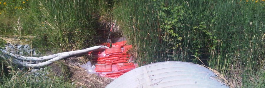 Environmental Monitoring And Site Supervision