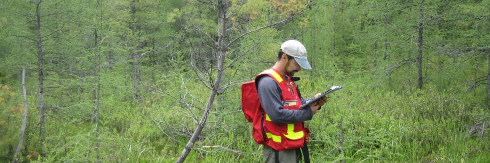 Arboriculture