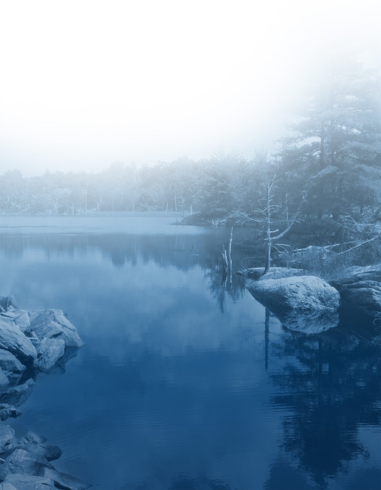 Beacon Environmental - Lake and woods - Blue Duo Tone